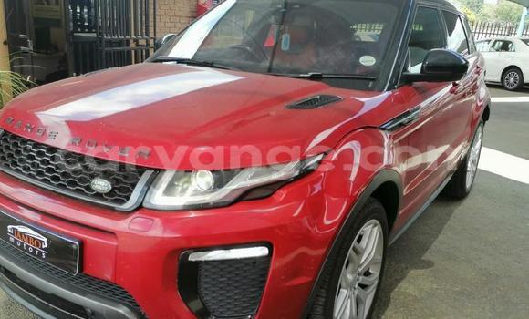 Acheter Occasion Voiture Land Rover Range Rover Evoque Rouge à Karasburg, Karas Acheter Occasion Voiture Land Rover Range Rover Evoque Rouge à Karasburg, Karas