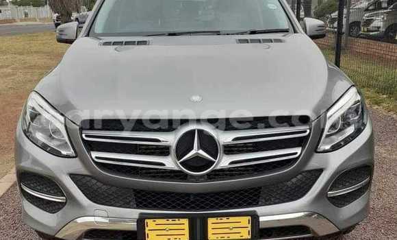 Buy Used Mercedes-Benz GLE Silver Car in Warmbad in Karas