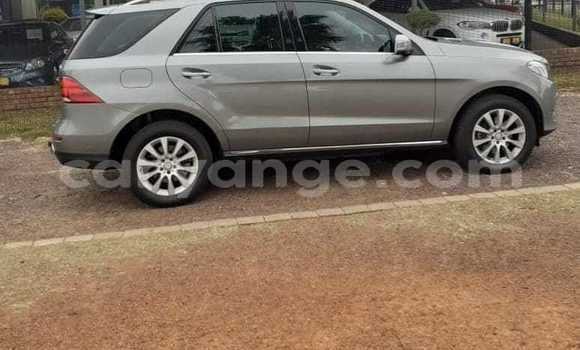 Buy Used Mercedes-Benz GLE Silver Car in Warmbad in Karas Buy Used Mercedes-Benz GLE Silver Car in Warmbad in Karas