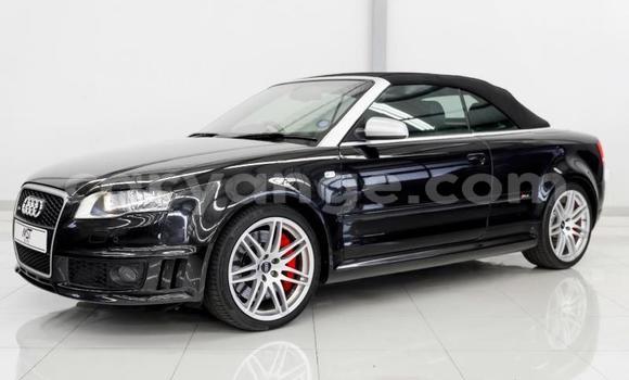 Buy Used Audi RS4 Black Car in Windhoek in Namibia Buy Used Audi RS4 Black Car in Windhoek in Namibia