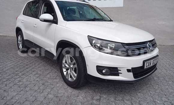 Buy Used Volkswagen Tiguan White Car in Khorixas in Kunene