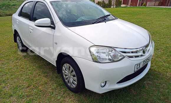 Buy Used Toyota Etios White Car in Rehoboth in Hardap