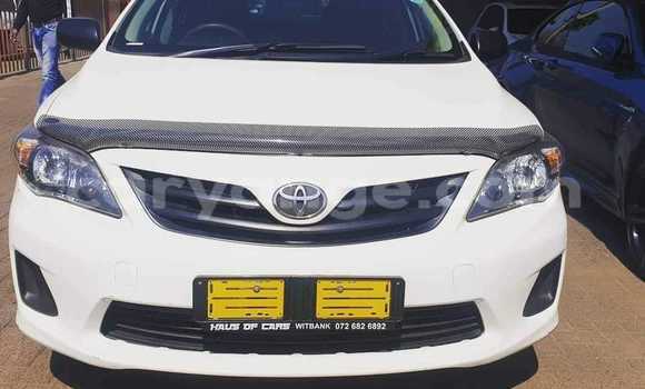 Buy Used Toyota Corolla White Car in Warmbad in Karas Buy Used Toyota Corolla White Car in Warmbad in Karas