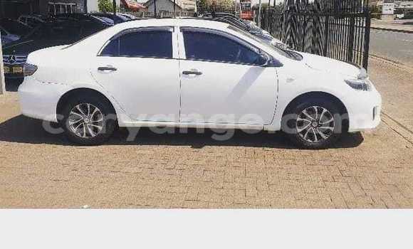 Buy Used Toyota Corolla White Car in Warmbad in Karas Buy Used Toyota Corolla White Car in Warmbad in Karas