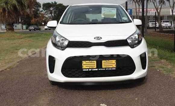 Buy Used Kia Picanto White Car in Swakopmund in Namibia