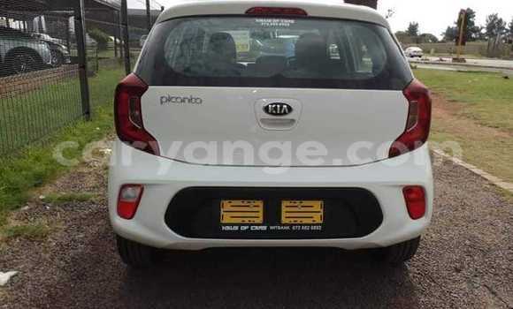 Acheter Occasion Voiture Kia Picanto Blanc à Swakopmund, Namibie Acheter Occasion Voiture Kia Picanto Blanc à Swakopmund, Namibie