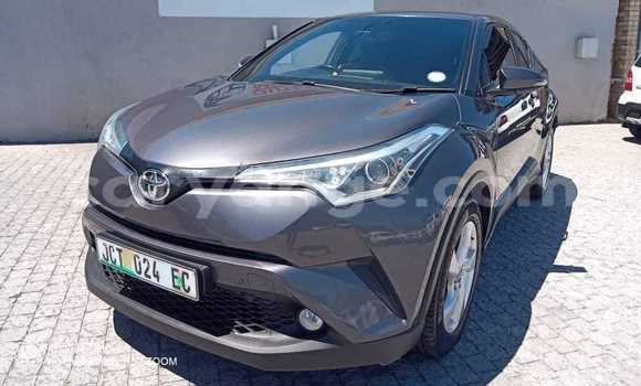 Acheter Occasion Voiture Toyota C-HR Gris à Windhoek, Namibie Acheter Occasion Voiture Toyota C-HR Gris à Windhoek, Namibie