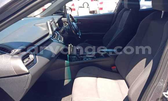 Acheter Occasion Voiture Toyota C-HR Gris à Windhoek, Namibie Acheter Occasion Voiture Toyota C-HR Gris à Windhoek, Namibie