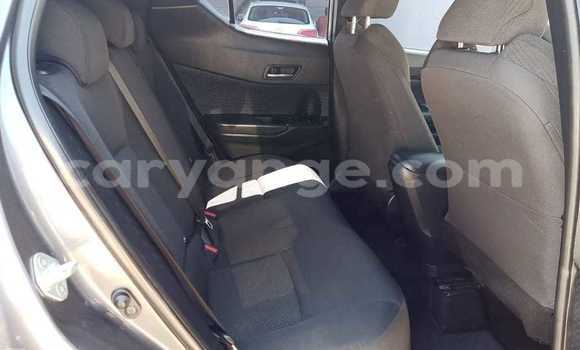 Acheter Occasion Voiture Toyota C-HR Gris à Windhoek, Namibie Acheter Occasion Voiture Toyota C-HR Gris à Windhoek, Namibie