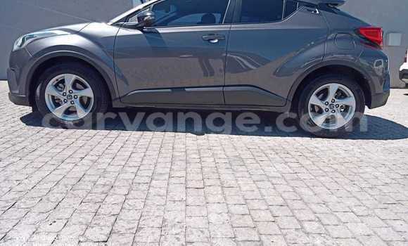 Acheter Occasion Voiture Toyota C-HR Gris à Windhoek, Namibie Acheter Occasion Voiture Toyota C-HR Gris à Windhoek, Namibie