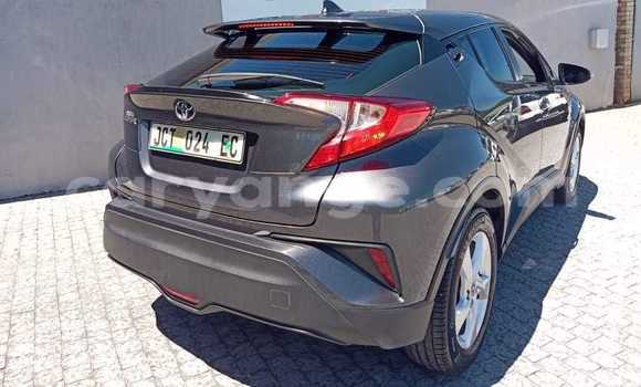 Acheter Occasion Voiture Toyota C-HR Gris à Windhoek, Namibie Acheter Occasion Voiture Toyota C-HR Gris à Windhoek, Namibie