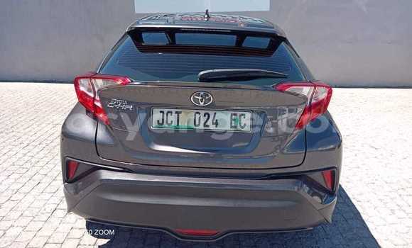 Acheter Occasion Voiture Toyota C-HR Gris à Windhoek, Namibie Acheter Occasion Voiture Toyota C-HR Gris à Windhoek, Namibie