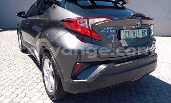 Acheter Occasion Voiture Toyota C-HR Gris à Windhoek, Namibie Acheter Occasion Voiture Toyota C-HR Gris à Windhoek, Namibie