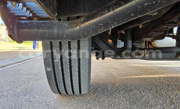 Buy Used Isuzu FTR 850 White Truck in Windhoek in Namibia Buy Used Isuzu FTR 850 White Truck in Windhoek in Namibia