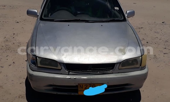 Buy Used Toyota Corolla Silver Car in Ondangwa in Oshikoto