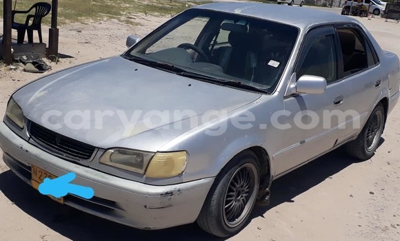 Acheter Occasion Voiture Toyota Corolla Gris à Ondangwa, Oshikoto Acheter Occasion Voiture Toyota Corolla Gris à Ondangwa, Oshikoto