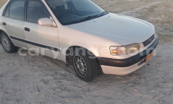 Buy Used Toyota Corolla Silver Car in Ondangwa in Oshikoto