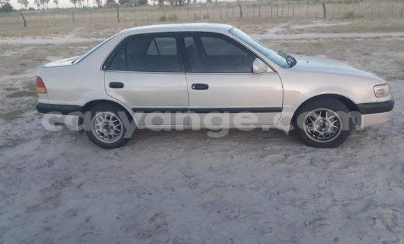 Acheter Occasion Voiture Toyota Corolla Gris à Ondangwa, Oshikoto Acheter Occasion Voiture Toyota Corolla Gris à Ondangwa, Oshikoto