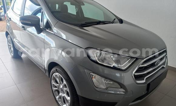 Acheter Occasion Voiture Ford EcoSport Gris à Rehoboth, Hardap