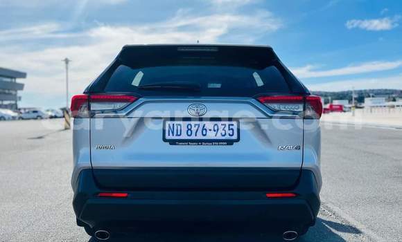 Buy Used Toyota RAV4 Silver Car in Ondangwa in Oshikoto Buy Used Toyota RAV4 Silver Car in Ondangwa in Oshikoto