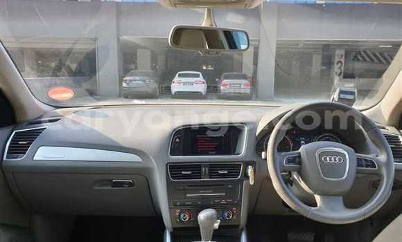 Buy Used Audi Q5 Silver Car in Karibib in Erongo Buy Used Audi Q5 Silver Car in Karibib in Erongo