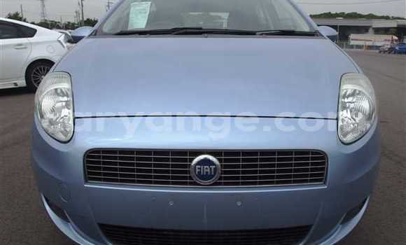 Buy Used Fiat Punto Blue Car in Bethanien in Karas