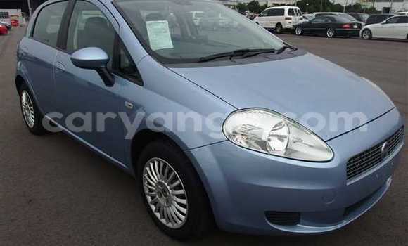 Acheter Occasion Voiture Fiat Punto Bleu à Bethanien, Karas Acheter Occasion Voiture Fiat Punto Bleu à Bethanien, Karas