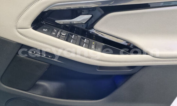 Acheter Occasion Voiture Land Rover Range Rover Evoque Blanc à Karasburg, Karas Acheter Occasion Voiture Land Rover Range Rover Evoque Blanc à Karasburg, Karas