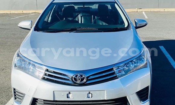 Acheter Occasion Voiture Toyota Corolla Blanc à Windhoek, Namibie Acheter Occasion Voiture Toyota Corolla Blanc à Windhoek, Namibie