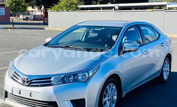 Acheter Occasion Voiture Toyota Corolla Blanc à Windhoek, Namibie Acheter Occasion Voiture Toyota Corolla Blanc à Windhoek, Namibie