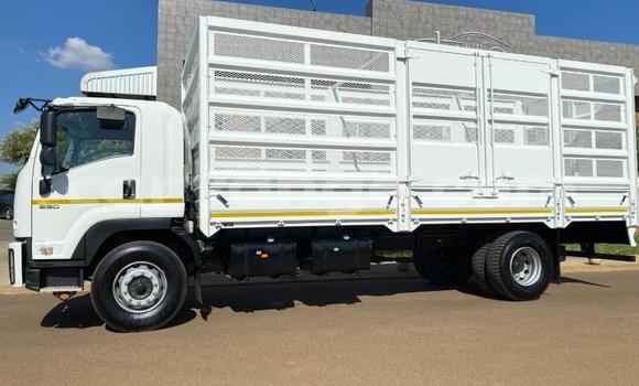 Buy Used Isuzu FTR 850 White Truck in Windhoek in Namibia Buy Used Isuzu FTR 850 White Truck in Windhoek in Namibia