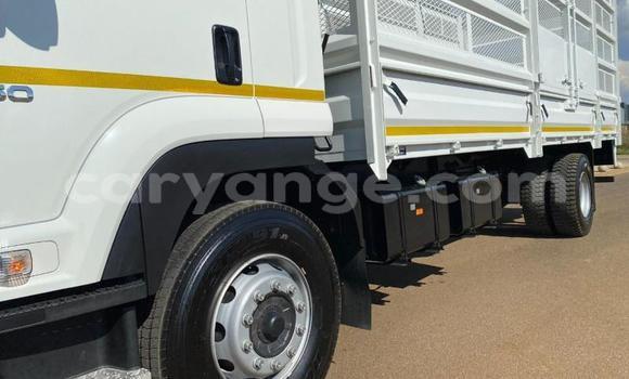 Buy Used Isuzu FTR 850 White Truck in Windhoek in Namibia Buy Used Isuzu FTR 850 White Truck in Windhoek in Namibia