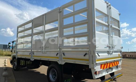 Buy Used Isuzu FTR 850 White Truck in Windhoek in Namibia Buy Used Isuzu FTR 850 White Truck in Windhoek in Namibia