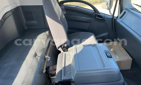 Buy Used Isuzu FTR 850 White Truck in Windhoek in Namibia Buy Used Isuzu FTR 850 White Truck in Windhoek in Namibia