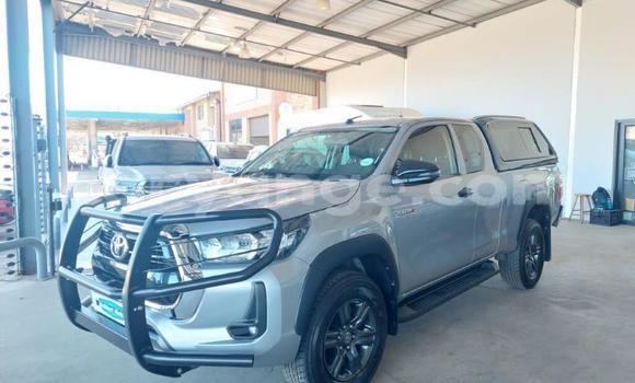 Buy Used Toyota Hilux Silver Car in Karasburg in Karas