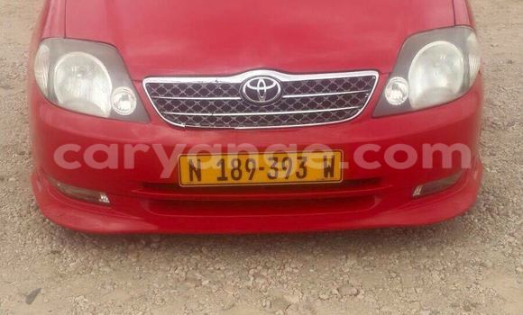 Buy Used Toyota Runx Red Car in Windhoek in Namibia Buy Used Toyota Runx Red Car in Windhoek in Namibia