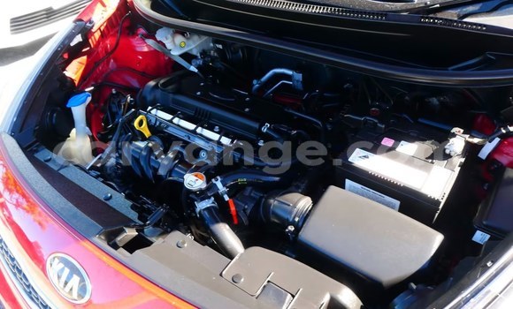 Buy Used Kia Rio Red Car in Windhoek in Namibia Buy Used Kia Rio Red Car in Windhoek in Namibia