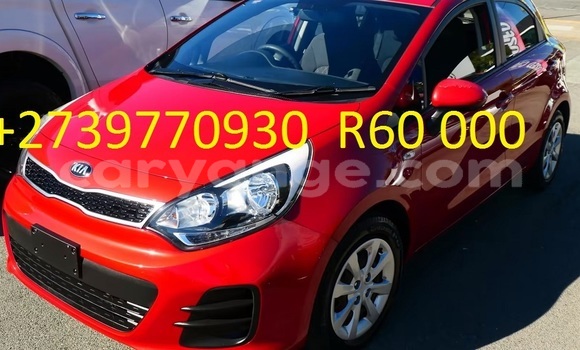 Buy Used Kia Rio Red Car in Windhoek in Namibia Buy Used Kia Rio Red Car in Windhoek in Namibia