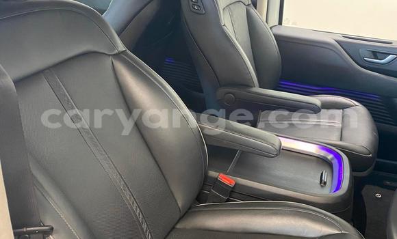 Acheter Occasion Voiture Hyundai Starex Blanc à Windhoek, Namibie Acheter Occasion Voiture Hyundai Starex Blanc à Windhoek, Namibie