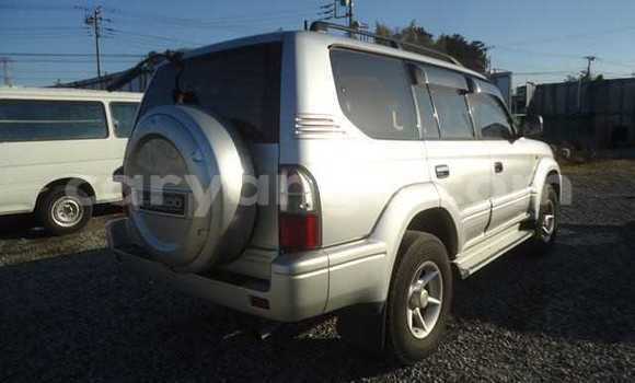 Buy Used Toyota Prado Silver Car in Tsumeb in Oshikoto Buy Used Toyota Prado Silver Car in Tsumeb in Oshikoto