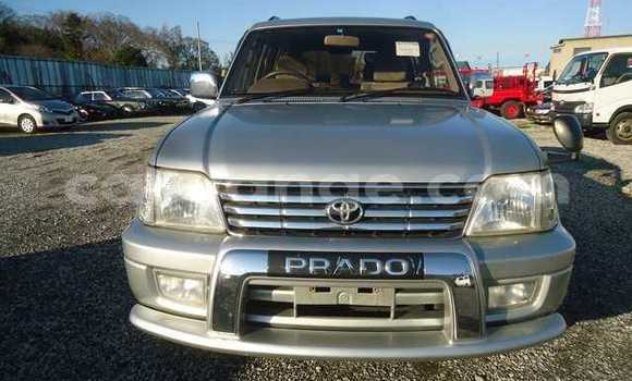 Buy Used Toyota Prado Silver Car in Tsumeb in Oshikoto Buy Used Toyota Prado Silver Car in Tsumeb in Oshikoto