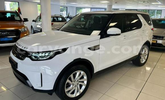 Acheter Occasion Voiture Land Rover Discovery Gris à Karasburg, Karas
