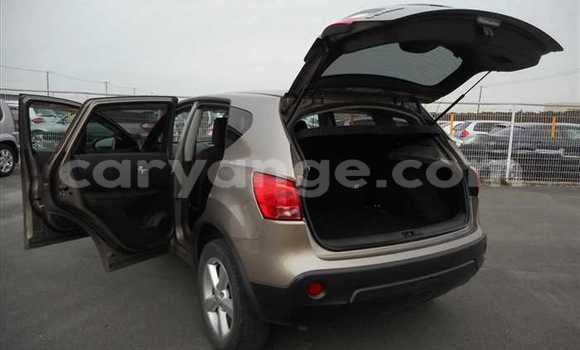 Buy Used Nissan Dualis Other Car in Otavi in Oshikoto Buy Used Nissan Dualis Other Car in Otavi in Oshikoto