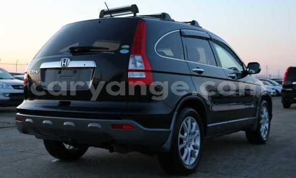 Buy Used Honda CR–V Black Car in Otjiwarongo in Namibia Buy Used Honda CR–V Black Car in Otjiwarongo in Namibia