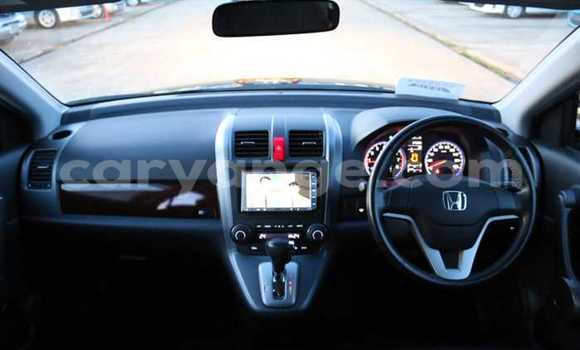 Buy Used Honda CR–V Black Car in Otjiwarongo in Namibia Buy Used Honda CR–V Black Car in Otjiwarongo in Namibia