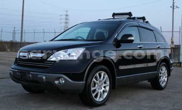 Buy Used Honda CR–V Black Car in Otjiwarongo in Namibia Buy Used Honda CR–V Black Car in Otjiwarongo in Namibia