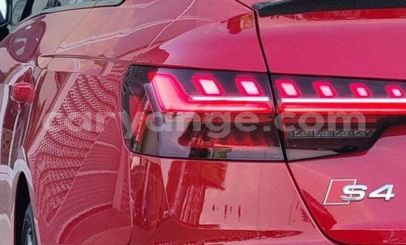 Buy Used Audi S4 Red Car in Grootfontein in Namibia Buy Used Audi S4 Red Car in Grootfontein in Namibia