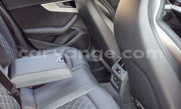 Buy Used Audi S4 Red Car in Grootfontein in Namibia Buy Used Audi S4 Red Car in Grootfontein in Namibia