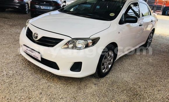 Buy Used Toyota Corolla White Car in Windhoek in Namibia