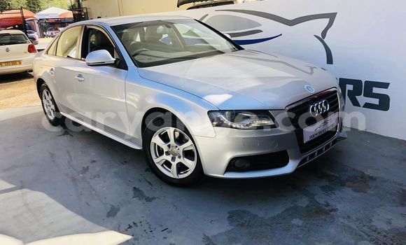 Buy Used Audi A4 White Car in Windhoek in Namibia Buy Used Audi A4 White Car in Windhoek in Namibia